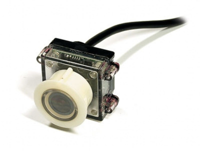 mongoose-ccd-01