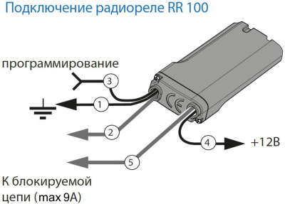 100_1